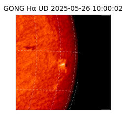 gong - 2025-05-26T10:00:02