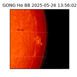 gong - 2025-05-26T13:56:02
