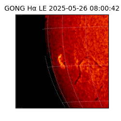 gong - 2025-05-26T08:00:42