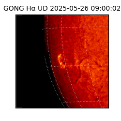 gong - 2025-05-26T09:00:02