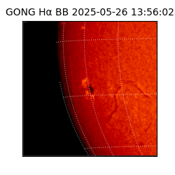 gong - 2025-05-26T13:56:02