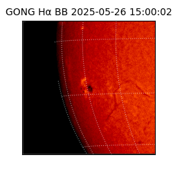 gong - 2025-05-26T15:00:02
