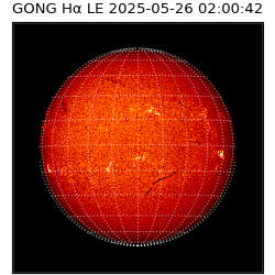gong - 2025-05-26T02:00:42