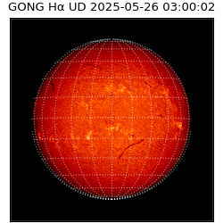 gong - 2025-05-26T03:00:02