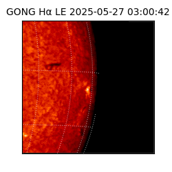 gong - 2025-05-27T03:00:42