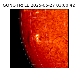 gong - 2025-05-27T03:00:42