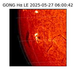gong - 2025-05-27T06:00:42