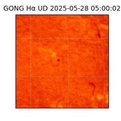 gong - 2025-05-28T05:00:02