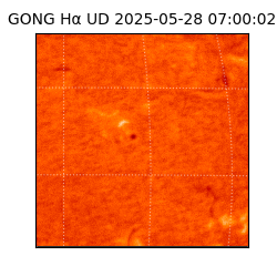 gong - 2025-05-28T07:00:02