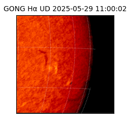 gong - 2025-05-29T11:00:02