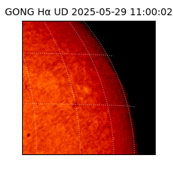 gong - 2025-05-29T11:00:02