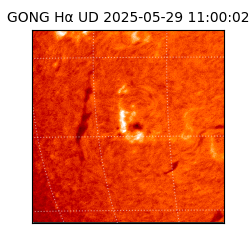 gong - 2025-05-29T11:00:02