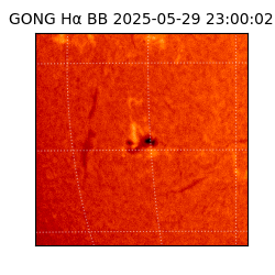 gong - 2025-05-29T23:00:02