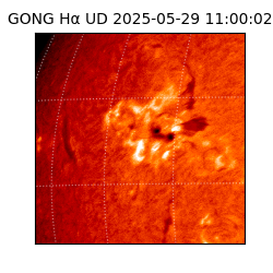 gong - 2025-05-29T11:00:02