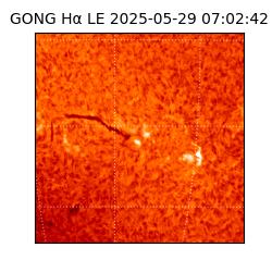 gong - 2025-05-29T07:02:42
