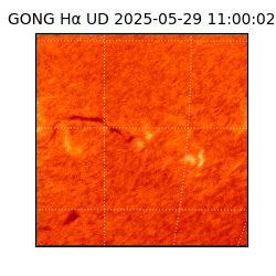 gong - 2025-05-29T11:00:02