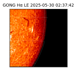 gong - 2025-05-30T02:37:42
