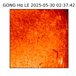 gong - 2025-05-30T02:37:42