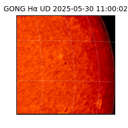 gong - 2025-05-30T11:00:02