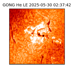 gong - 2025-05-30T02:37:42