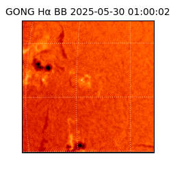 gong - 2025-05-30T01:00:02