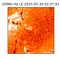 gong - 2025-05-30T02:37:42