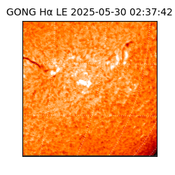 gong - 2025-05-30T02:37:42