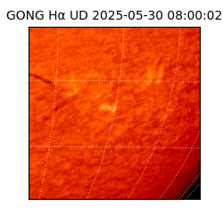 gong - 2025-05-30T08:00:02