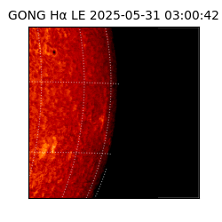 gong - 2025-05-31T03:00:42