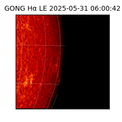 gong - 2025-05-31T06:00:42