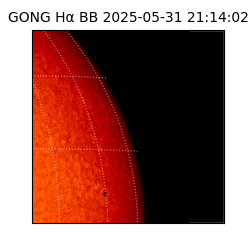 gong - 2025-05-31T21:14:02