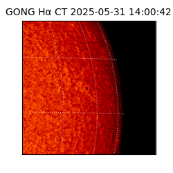 gong - 2025-05-31T14:00:42