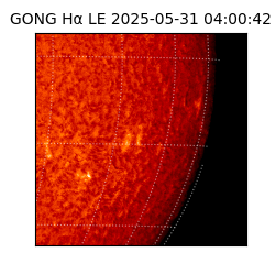 gong - 2025-05-31T04:00:42