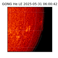 gong - 2025-05-31T06:00:42