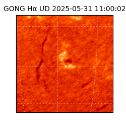 gong - 2025-05-31T11:00:02