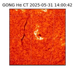 gong - 2025-05-31T14:00:42