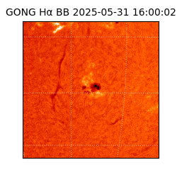 gong - 2025-05-31T16:00:02