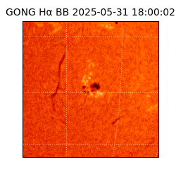 gong - 2025-05-31T18:00:02