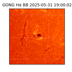 gong - 2025-05-31T19:00:02