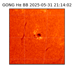 gong - 2025-05-31T21:14:02