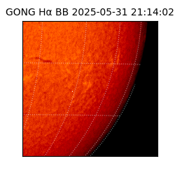 gong - 2025-05-31T21:14:02