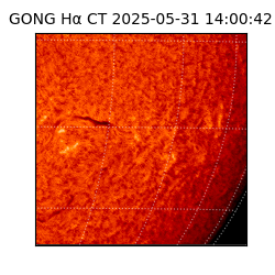 gong - 2025-05-31T14:00:42