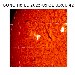 gong - 2025-05-31T03:00:42