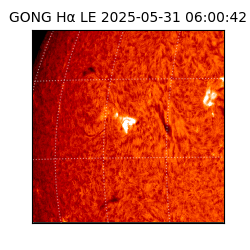 gong - 2025-05-31T06:00:42