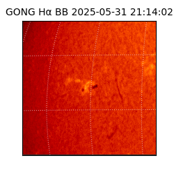 gong - 2025-05-31T21:14:02