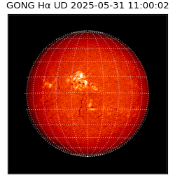 gong - 2025-05-31T11:00:02