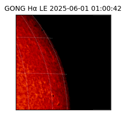 gong - 2025-06-01T01:00:42