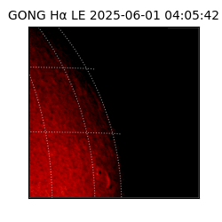 gong - 2025-06-01T04:05:42