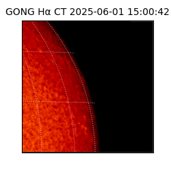 gong - 2025-06-01T15:00:42