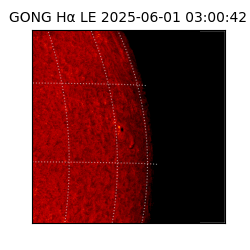 gong - 2025-06-01T03:00:42